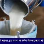 Donkey Milk Business Idea गधी का दूध है सबसे महंगा, इस राज्य के लोग कर रहे हैं बिजनेस, आप भी शुरू कर सकते हैं