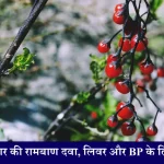 Goji Berry Benefits ब्लड शुगर, लिवर और BP के लिए फायदेमंद