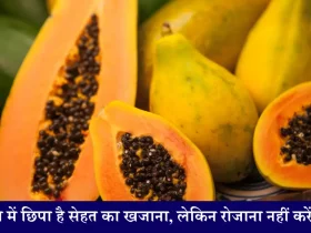 Papaya Benefits पपीते में छिपा है सेहत का खजाना, लेकिन ध्यान रखें—रोजाना इसका सेवन ना करें, वरना हो सकता है नुकसान!